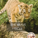 A brave tiger