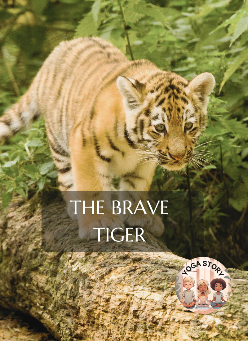 A brave tiger