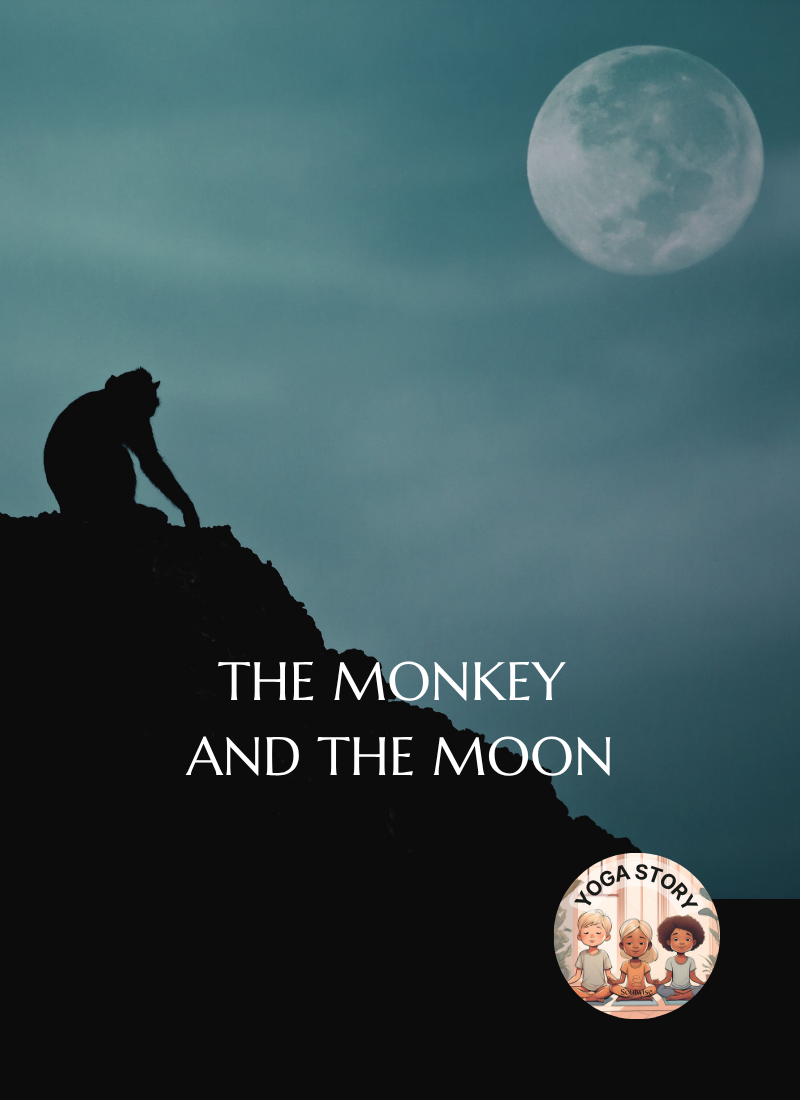 A monkey looking at the moon in the night
