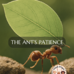 An ant patiently carrying a leaf.